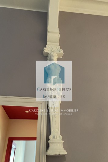 Vente maison de maître Lézignan-Corbières  