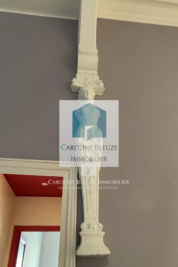 Vente maison de maître Lézignan-Corbières  