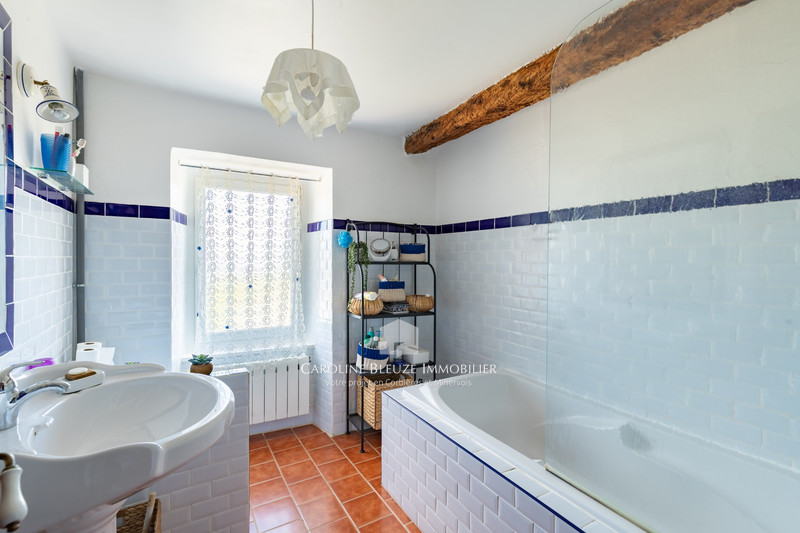 Vente bastide Siran  