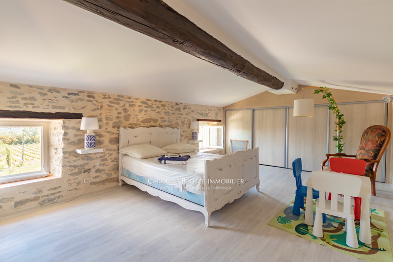Vente bastide Siran  