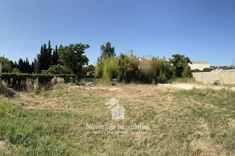 Vente terrain Estagel  