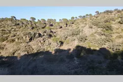 Vente terrain Estagel  