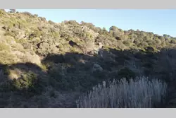 Vente terrain Estagel  