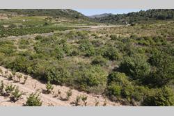 Vente terrain agricole Tautavel  