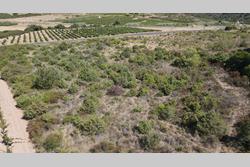 Vente terrain agricole Tautavel  