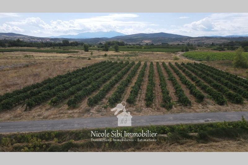 Vente terrain agricole Estagel  
