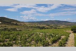 Vente terrain agricole Montner  