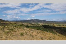 Vente terrain agricole Montner  