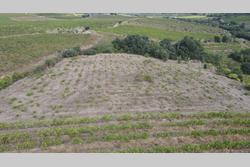 Vente terrain agricole Montner  