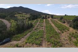 Vente terrain agricole Montner  