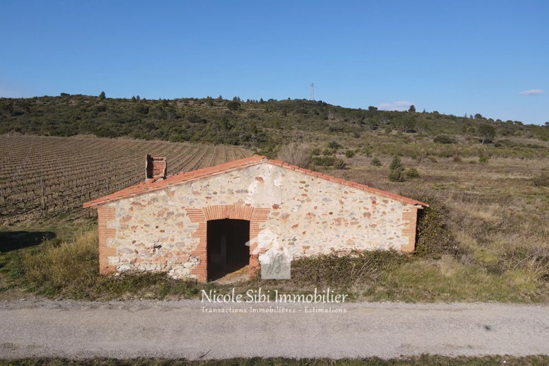 Vente terrain agricole Tautavel Vente terrain agricole Tautavel