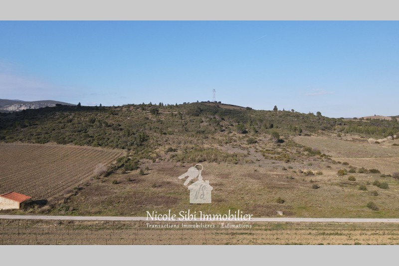 Vente terrain agricole Tautavel  
