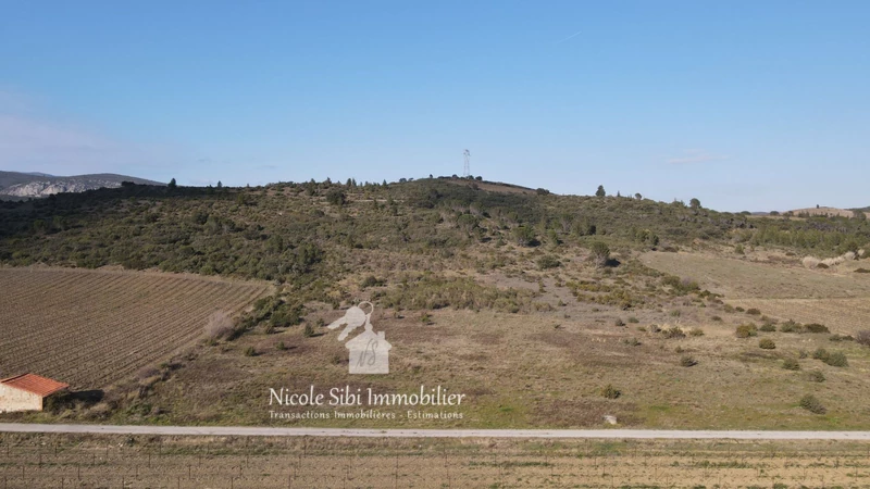 Vente terrain agricole Tautavel  