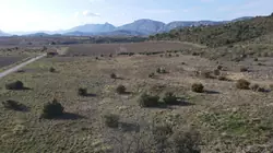 Vente terrain agricole Tautavel  