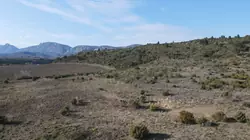 Vente terrain agricole Tautavel  