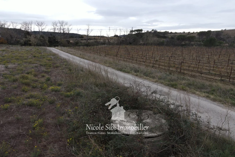 Vente terrain agricole Tautavel  