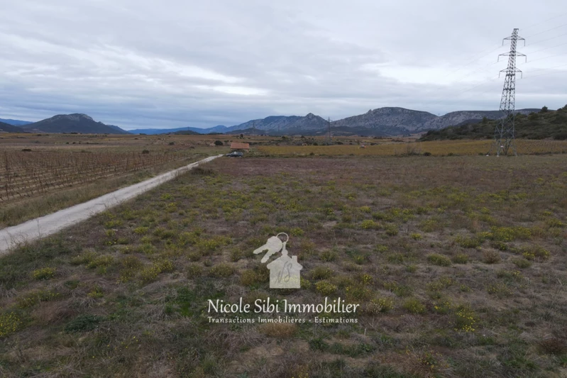 Vente terrain agricole Tautavel  