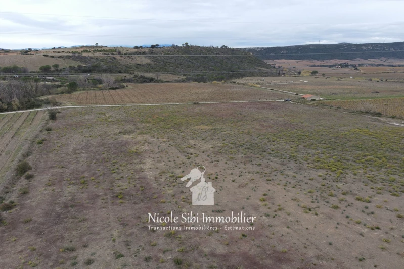 Vente terrain agricole Tautavel  