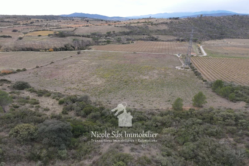 Vente terrain agricole Tautavel  