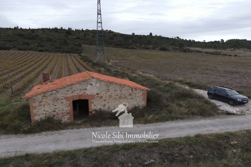 Vente terrain agricole Tautavel  