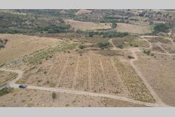 Vente terrain agricole Millas  