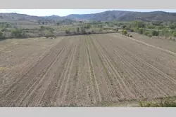Vente terrain agricole Latour-de-France  
