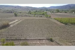 Vente terrain agricole Latour-de-France  
