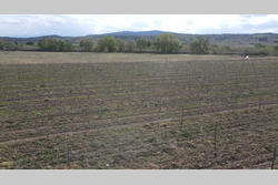 Vente terrain agricole Latour-de-France  