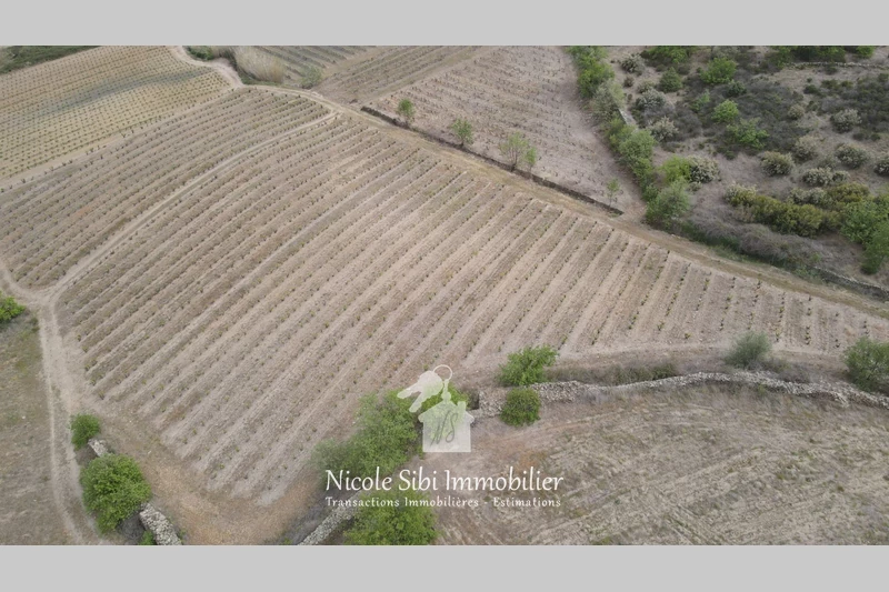 Vente terrain agricole Montner  