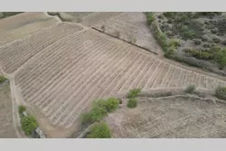 Vente terrain agricole Montner  