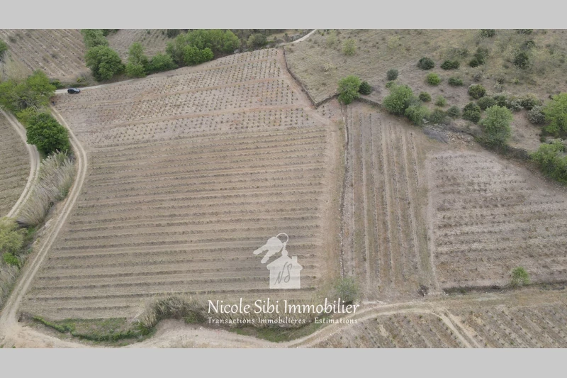 Vente terrain agricole Montner  