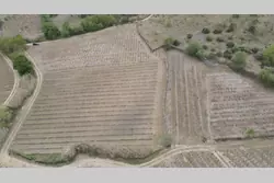 Vente terrain agricole Montner  