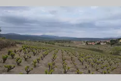 Vente terrain agricole Montner  