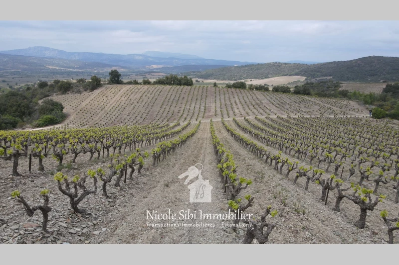 Vente terrain Montner  