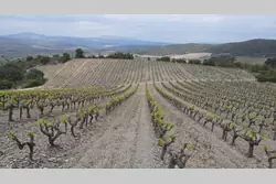 Vente terrain Montner  