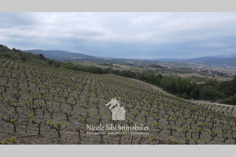 Vente terrain Montner  