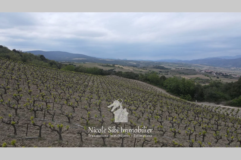 Vente terrain Montner  
