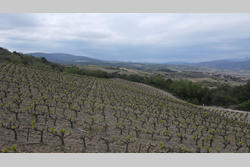 Vente terrain Montner  