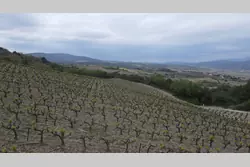 Vente terrain Montner  