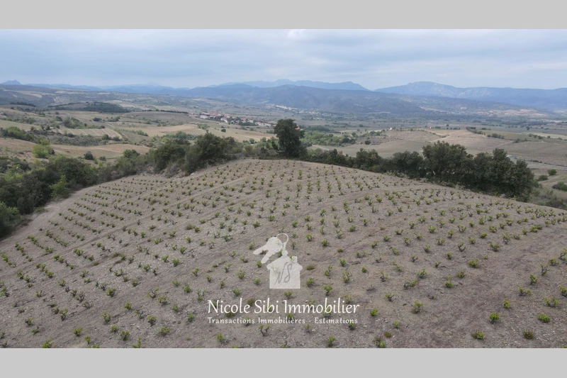 Vente terrain Montner  