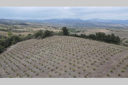 Vente terrain Montner  
