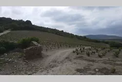 Vente terrain Montner  