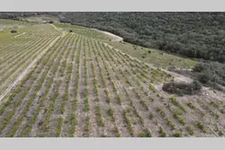 Vente terrain agricole Rasiguères  