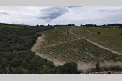 Vente terrain agricole Rasiguères  