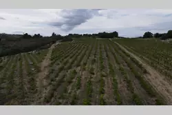 Vente terrain agricole Rasiguères  