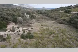 Vente terrain Lesquerde  