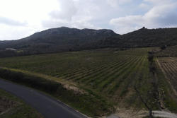 Vente terrain agricole Lansac  