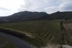 Vente terrain agricole Lansac  