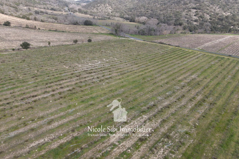 Vente terrain agricole Lansac  