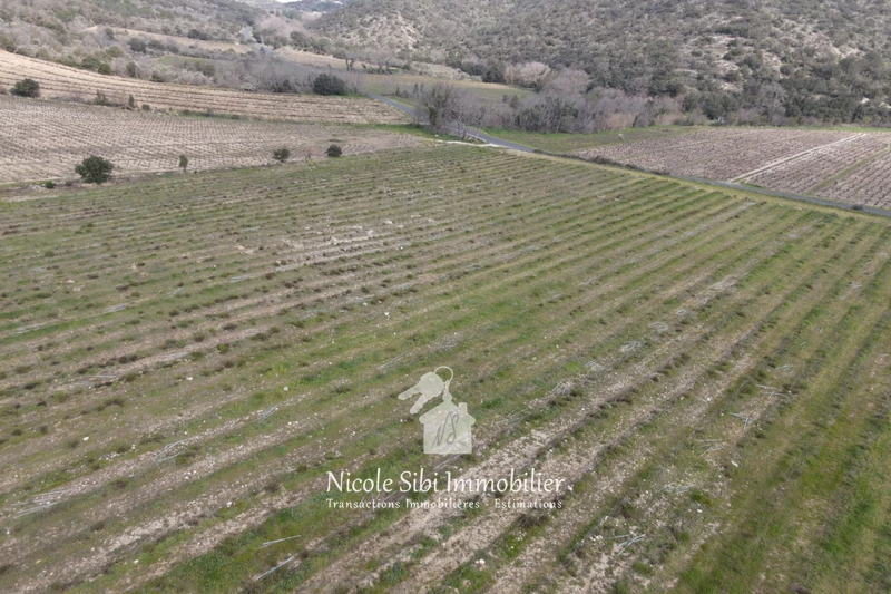 Vente terrain agricole Lansac  